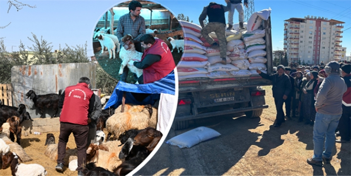 6 Şubat Depremlerinden Etkilenen İllerde Üreticilere 14 Milyar Lira Tarımsal Destek Ödemesi Yapıldı