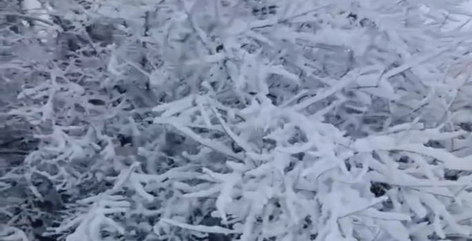 Elazığ Baskil'de kar yağışı etkili oldu